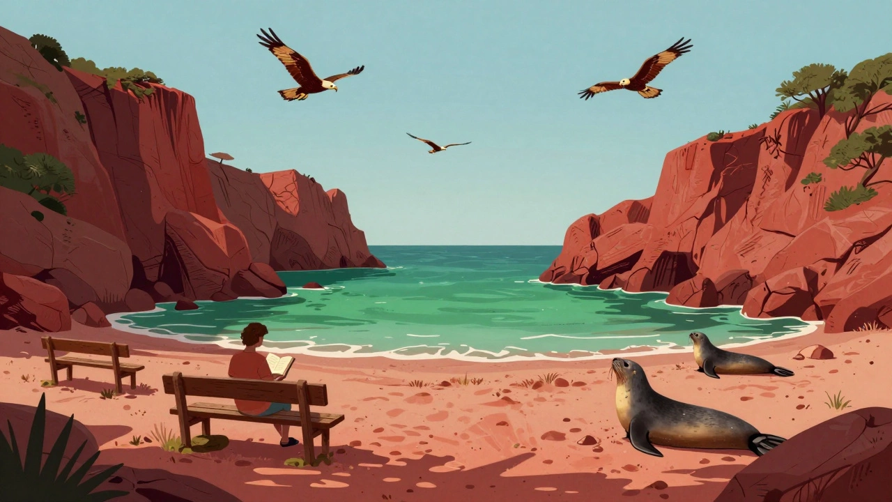 Уединённый пляж Кала-Горго на Сардинии с красными скалами, зелёной водой и двумя морскими котиками у берега.